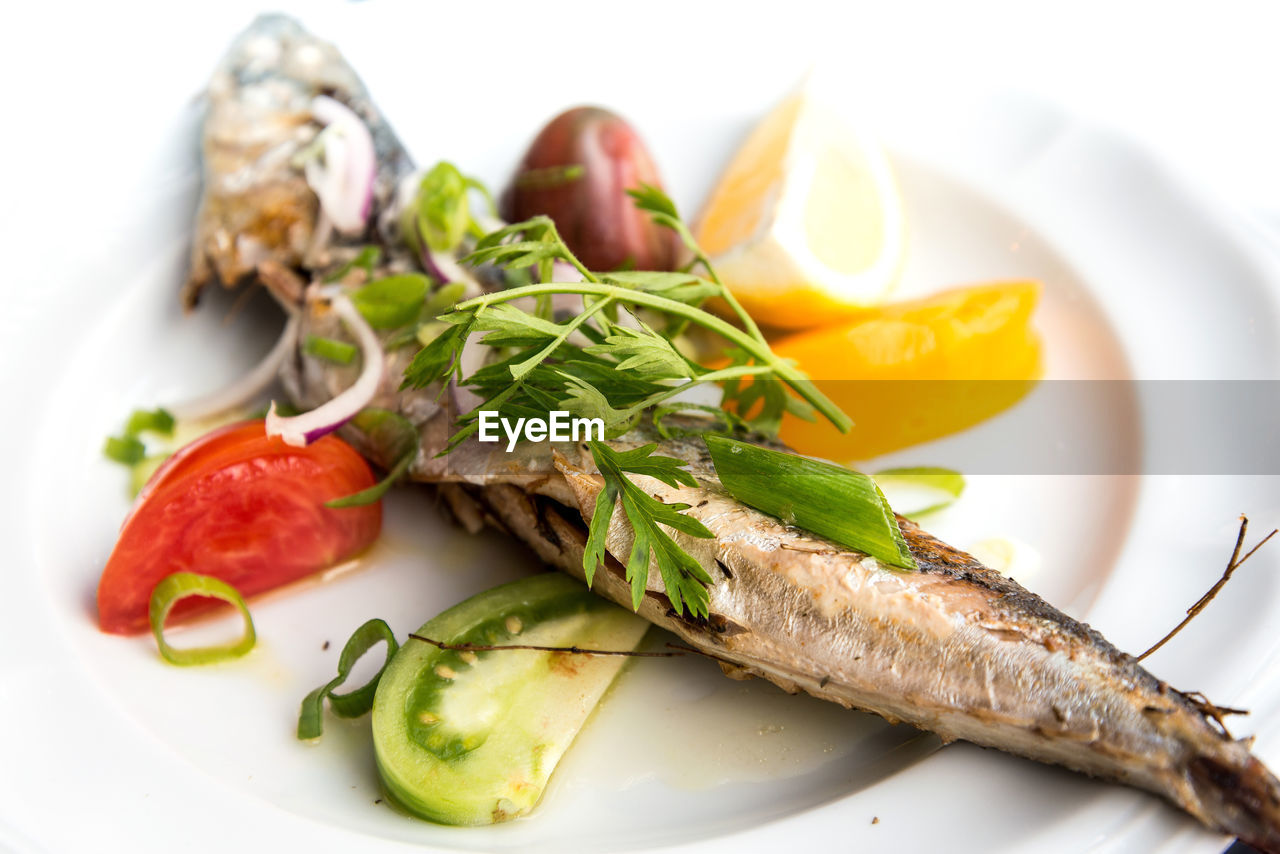 Grilled mackerel served with fresh salad