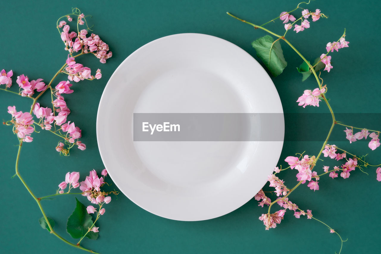 HIGH ANGLE VIEW OF PINK FLOWERING PLANT IN PLATE ON TABLE