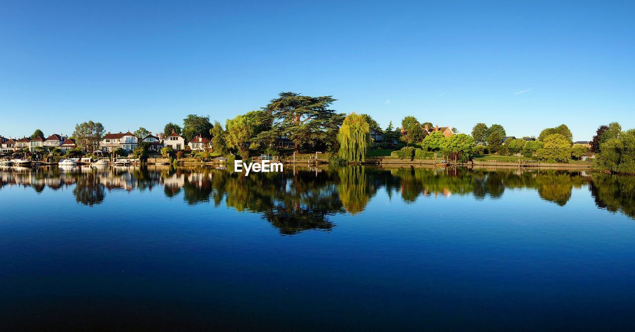 reflection of trees in lake against clear blue sky