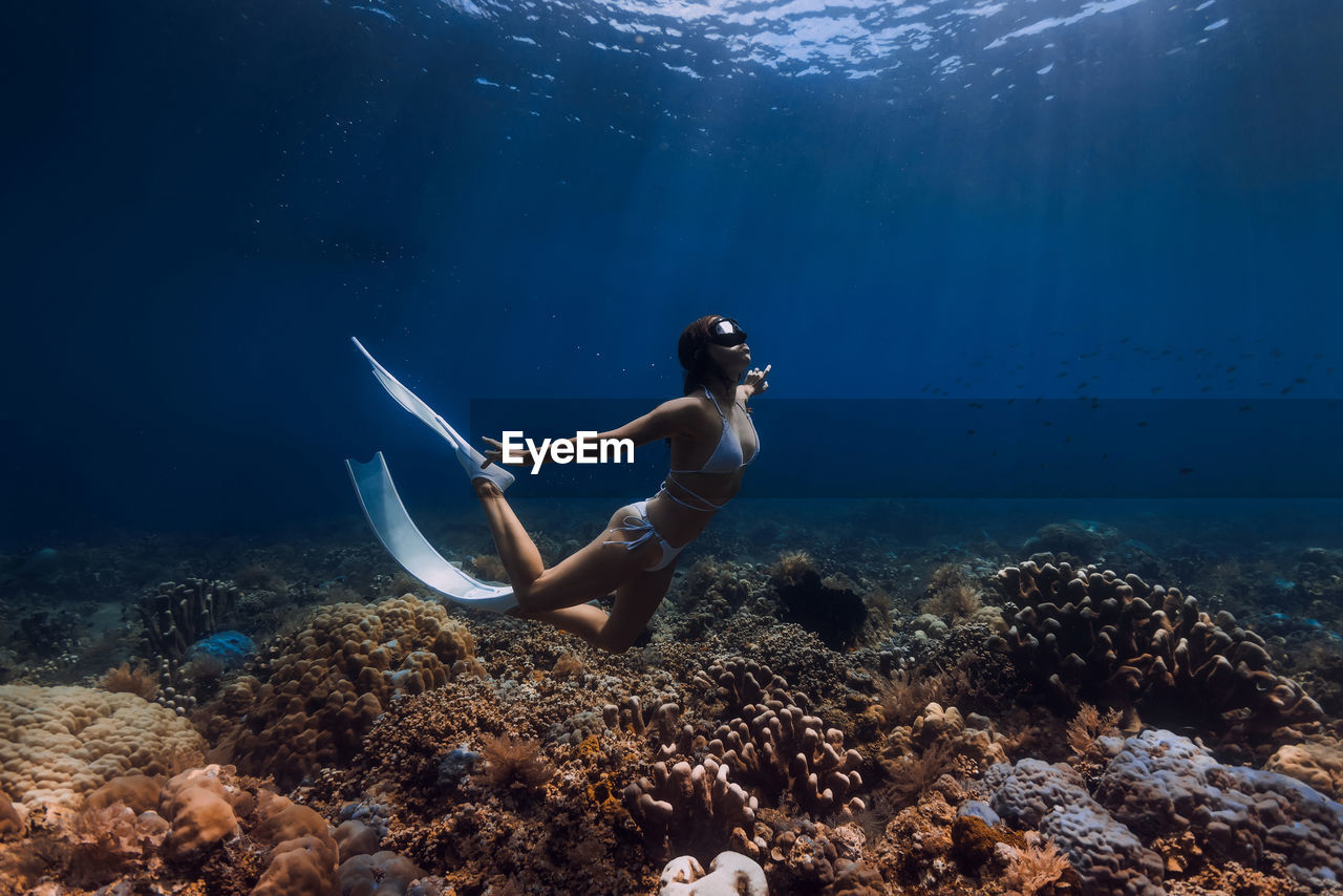 rear view of woman swimming in sea