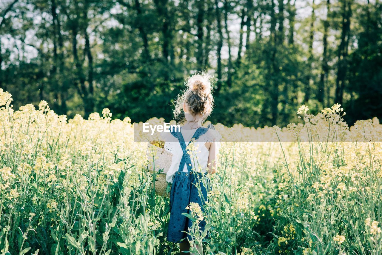 Young girl walking through a yellow flower field in a pretty dress