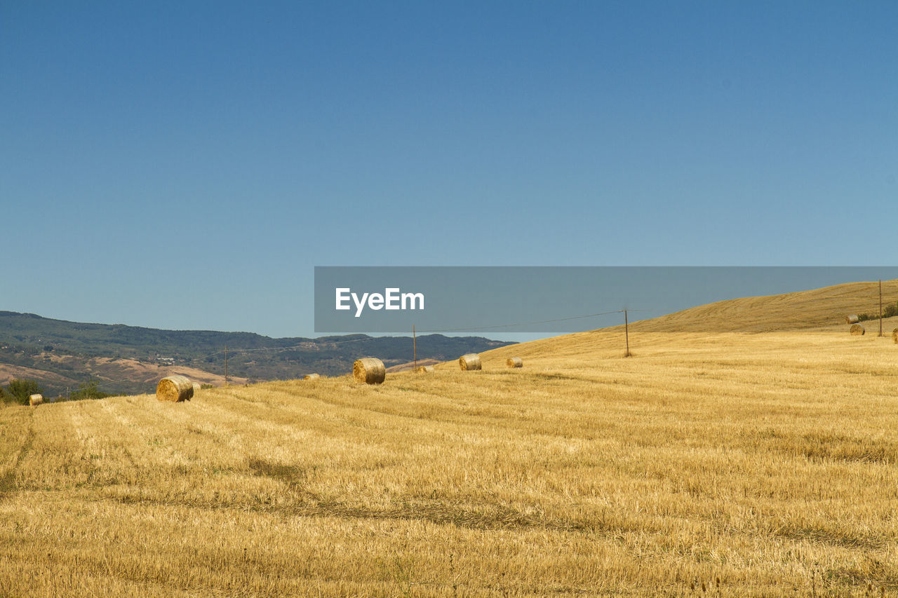 HAY BALES ON FIELD AGAINST SKY