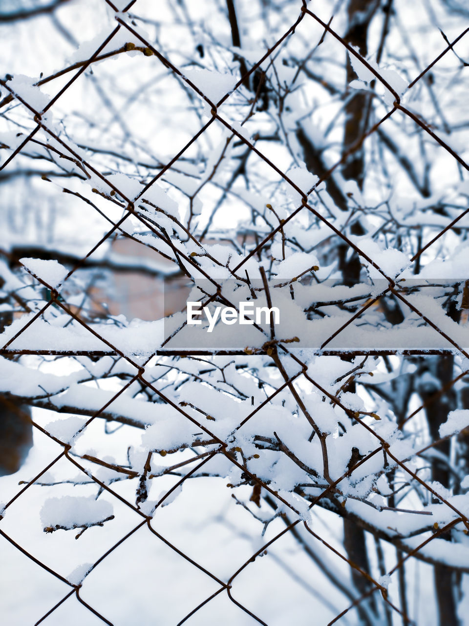 FULL FRAME SHOT OF SNOW COVERED BRANCHES