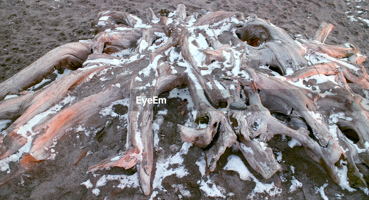 CLOSE-UP OF FROZEN ROCK ON FIELD
