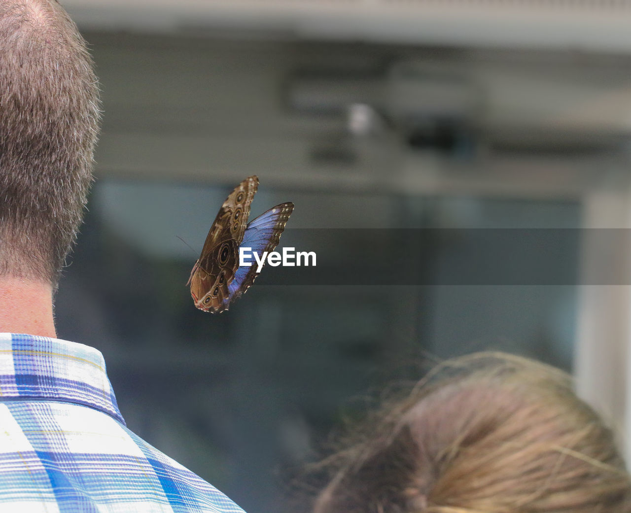 Butterfly flying by man and woman