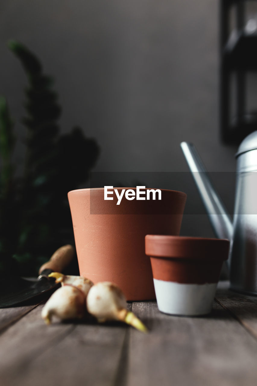 Ceramic pots on an old gray wooden table, tulip bulbs, watering can. high quality photo