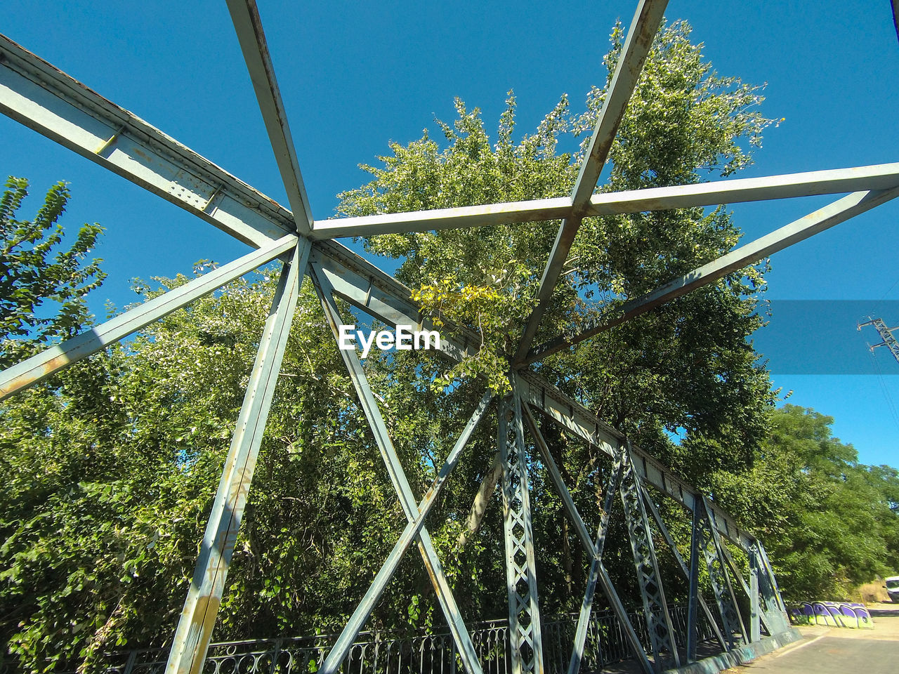 LOW ANGLE VIEW OF TREES AGAINST CLEAR SKY