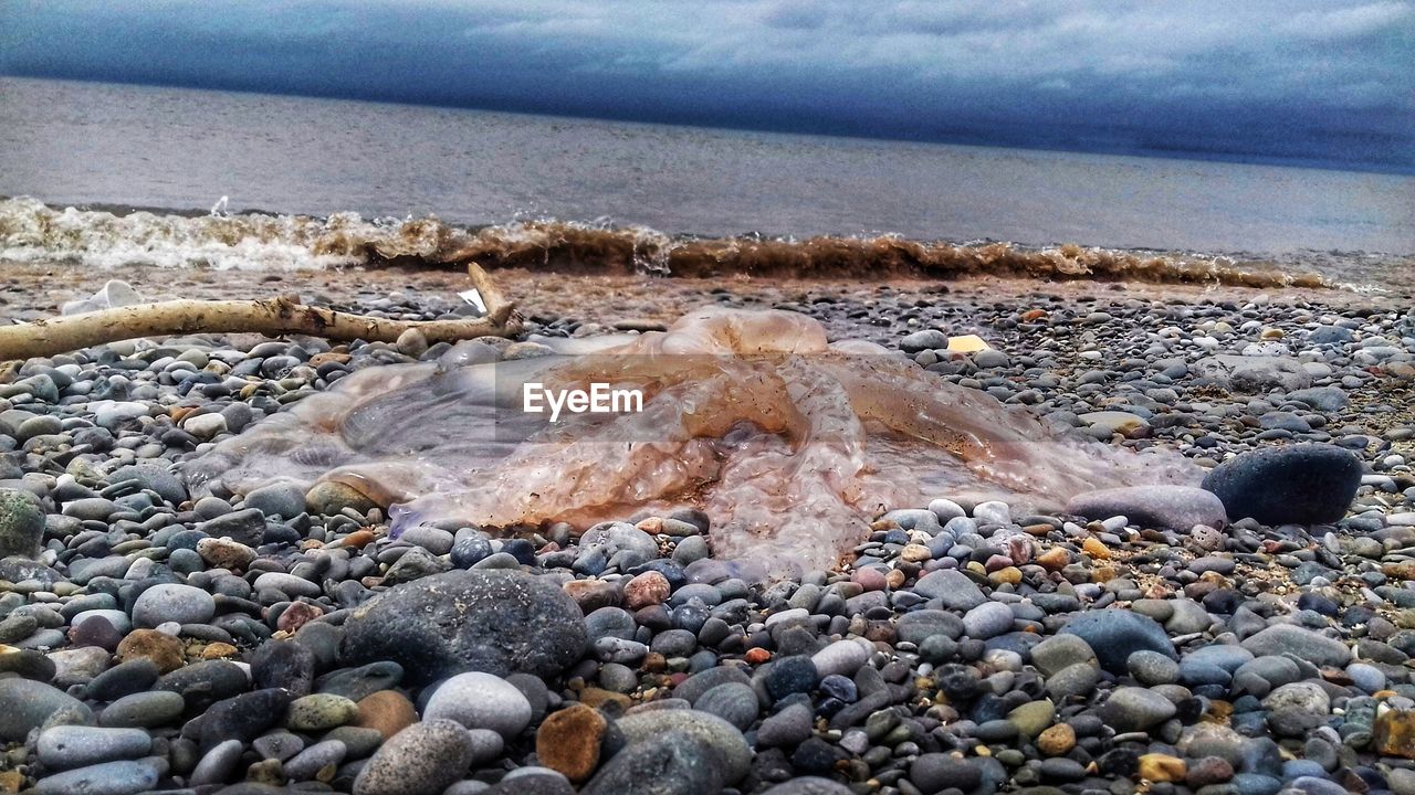 CLOSE-UP OF PEBBLES ON SHORE AGAINST SKY