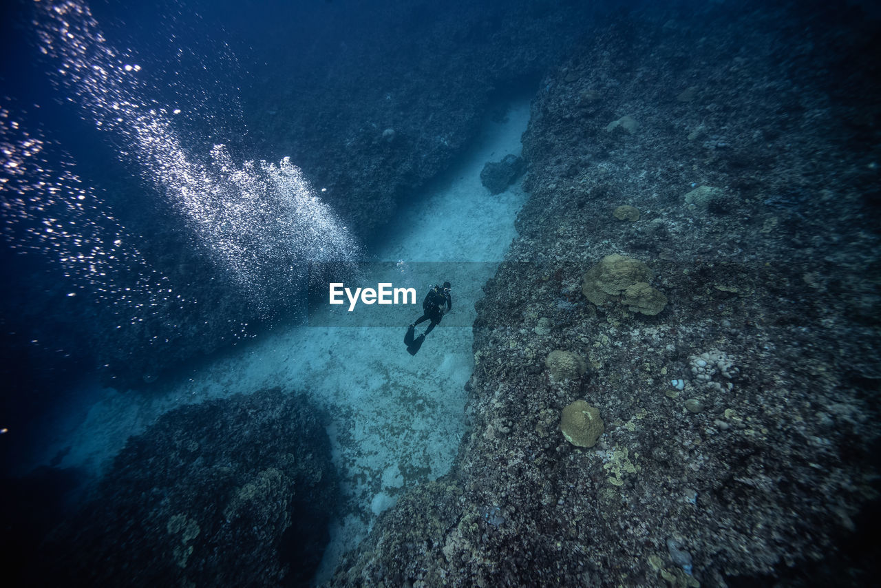 High angle view of scuba diver swimming undersea