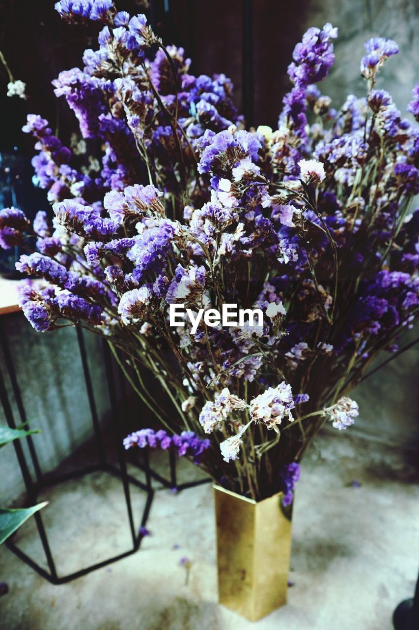 CLOSE-UP OF PURPLE FLOWERING PLANT