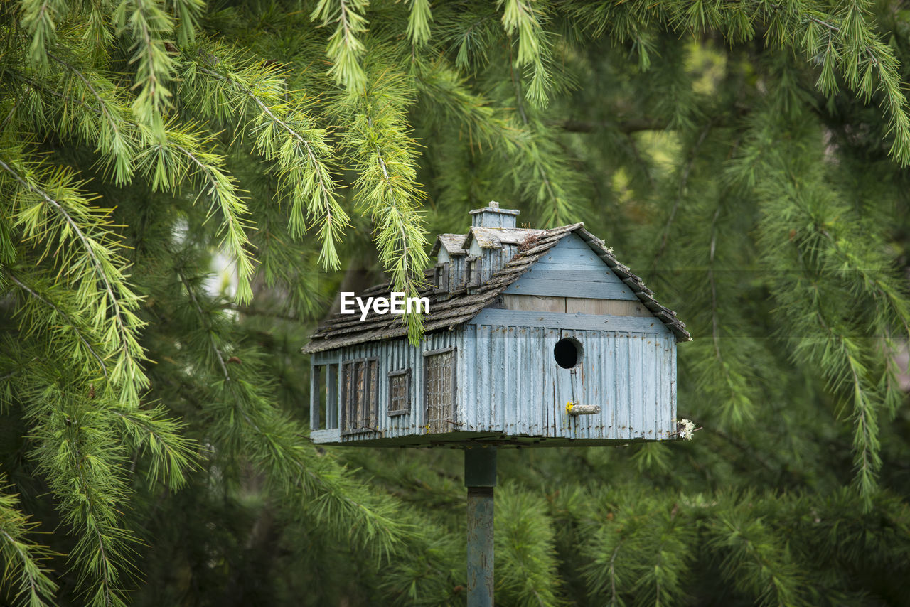 Birdhouse against trees