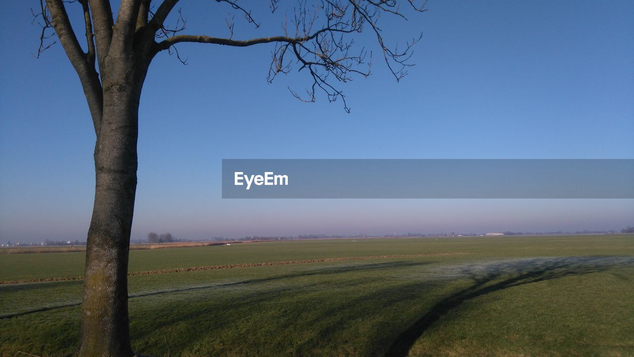 AGRICULTURAL FIELD AGAINST CLEAR SKY