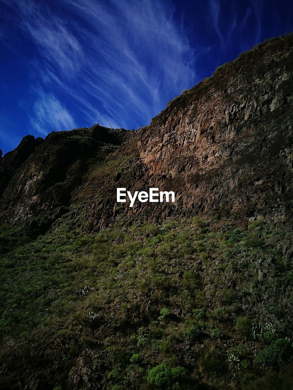 LOW ANGLE VIEW OF GREEN LANDSCAPE AGAINST SKY