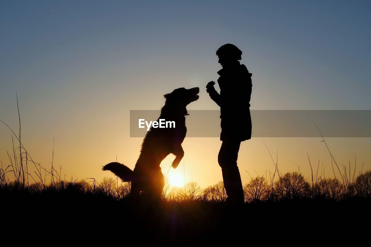 Silhouette of woman and dog on field against sky during sunset