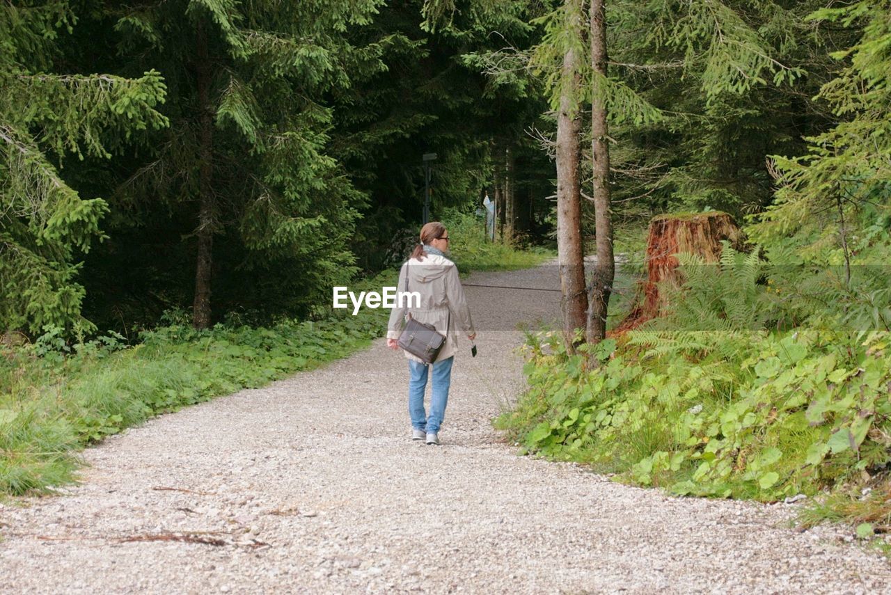 Rear view of woman walking on footpath amidst trees