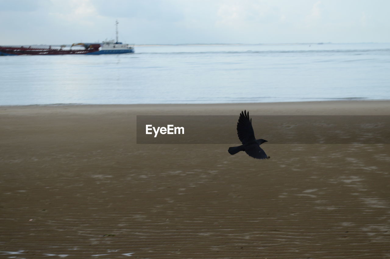 VIEW OF SEA AGAINST SKY