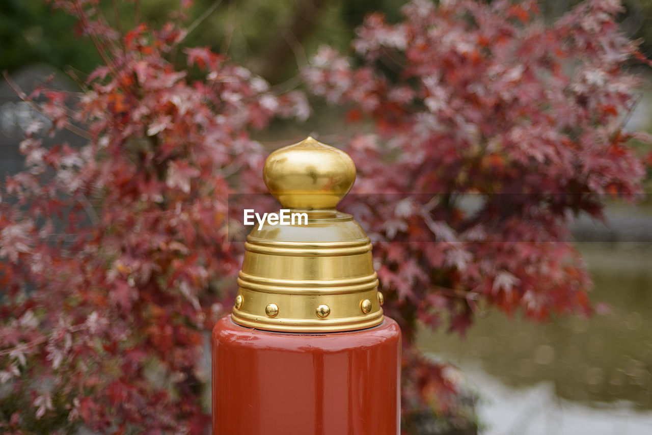 Close-up of temple against tree