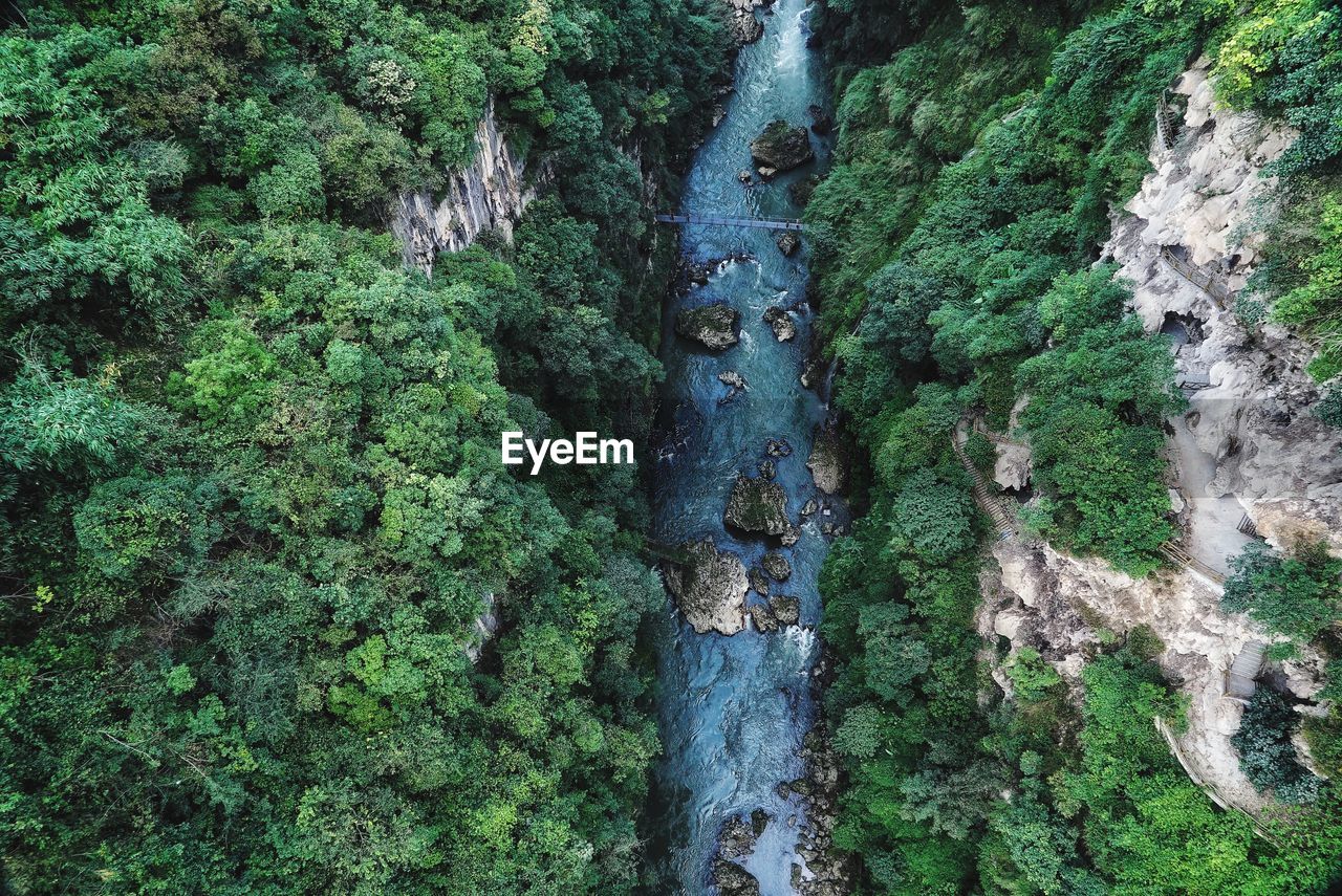 Scenic view of waterfall in forest