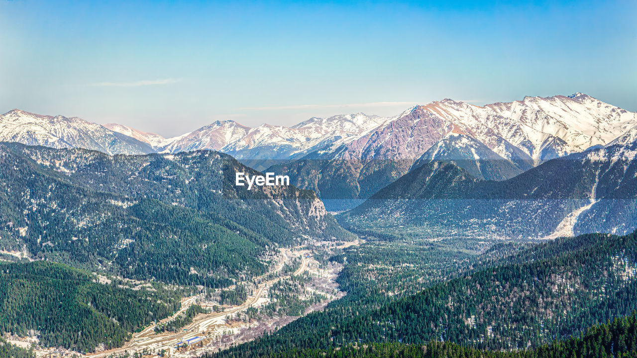 Mountain forest valley in winter