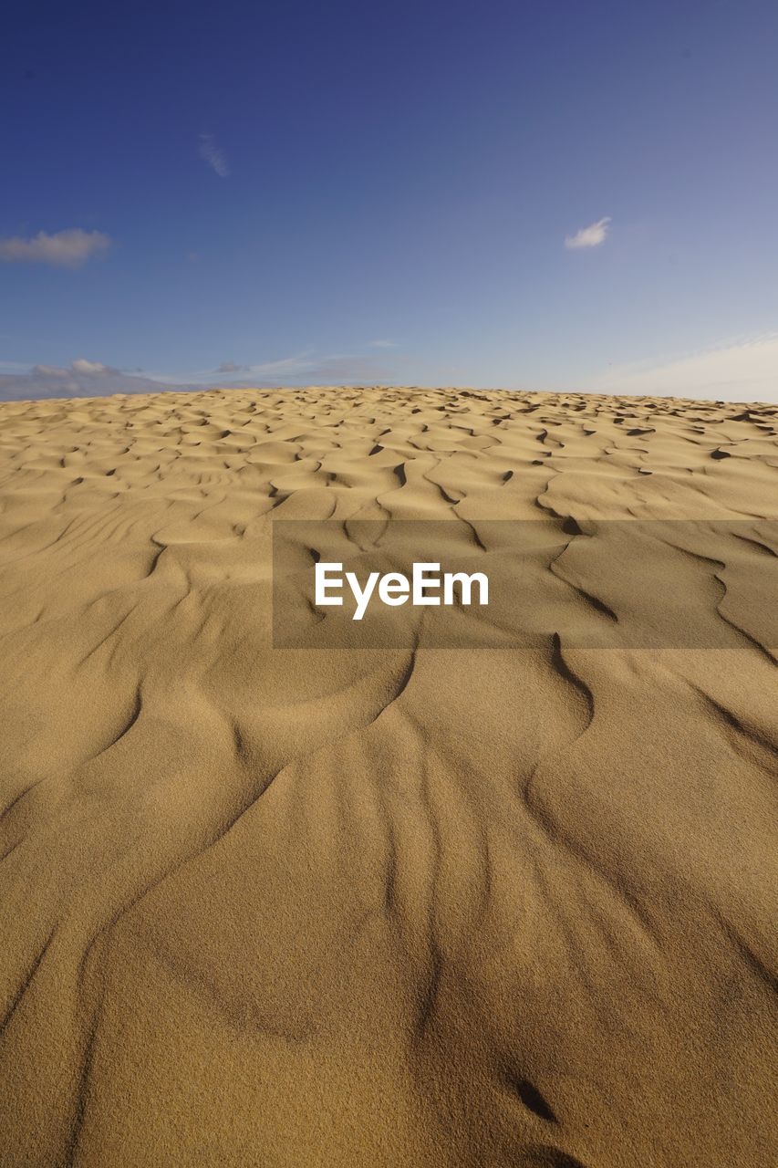 Sand dunes in desert against sky