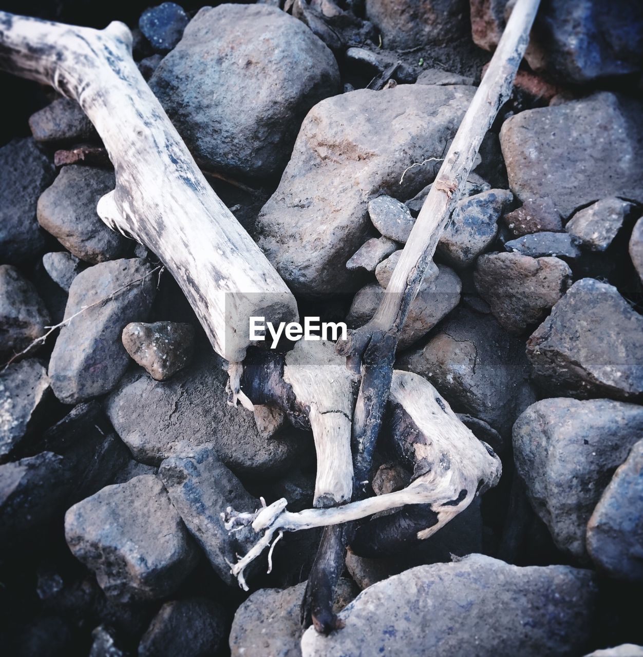 High angle view of driftwood on rocks