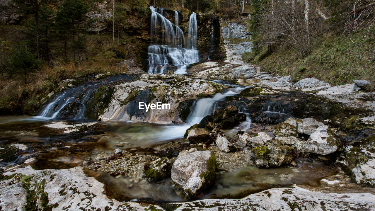 Scenic view of waterfall in forest