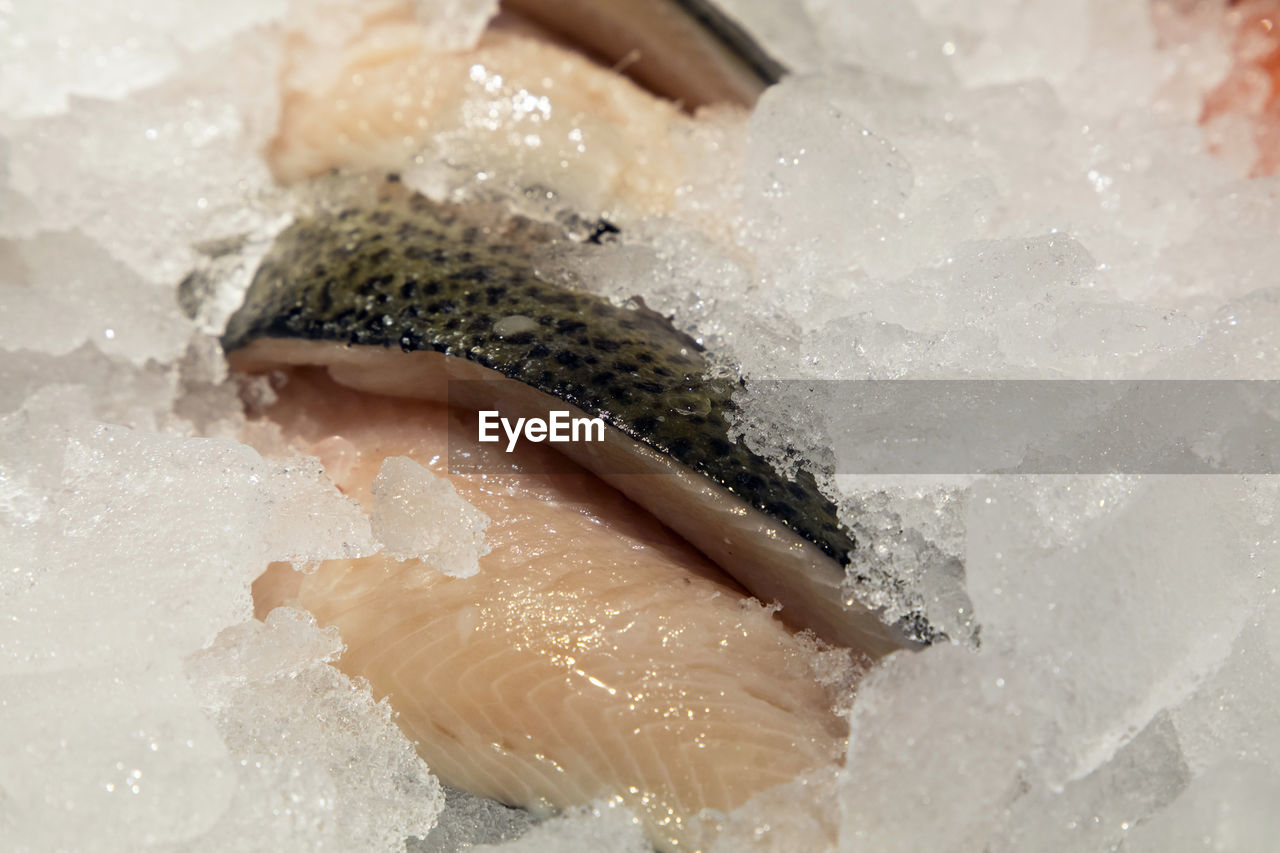 High angle view of cod fish on ice for sale at market