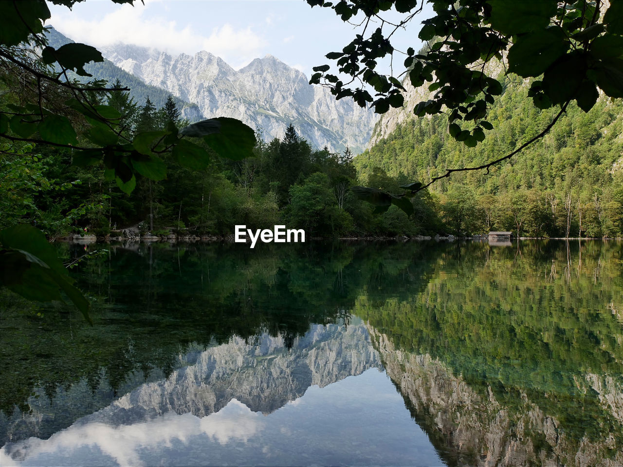 Scenic view of lake by trees against sky