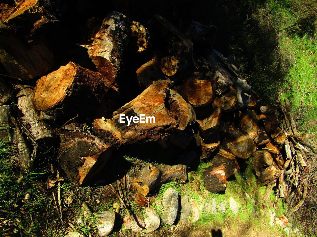 CLOSE-UP OF LOGS STACK