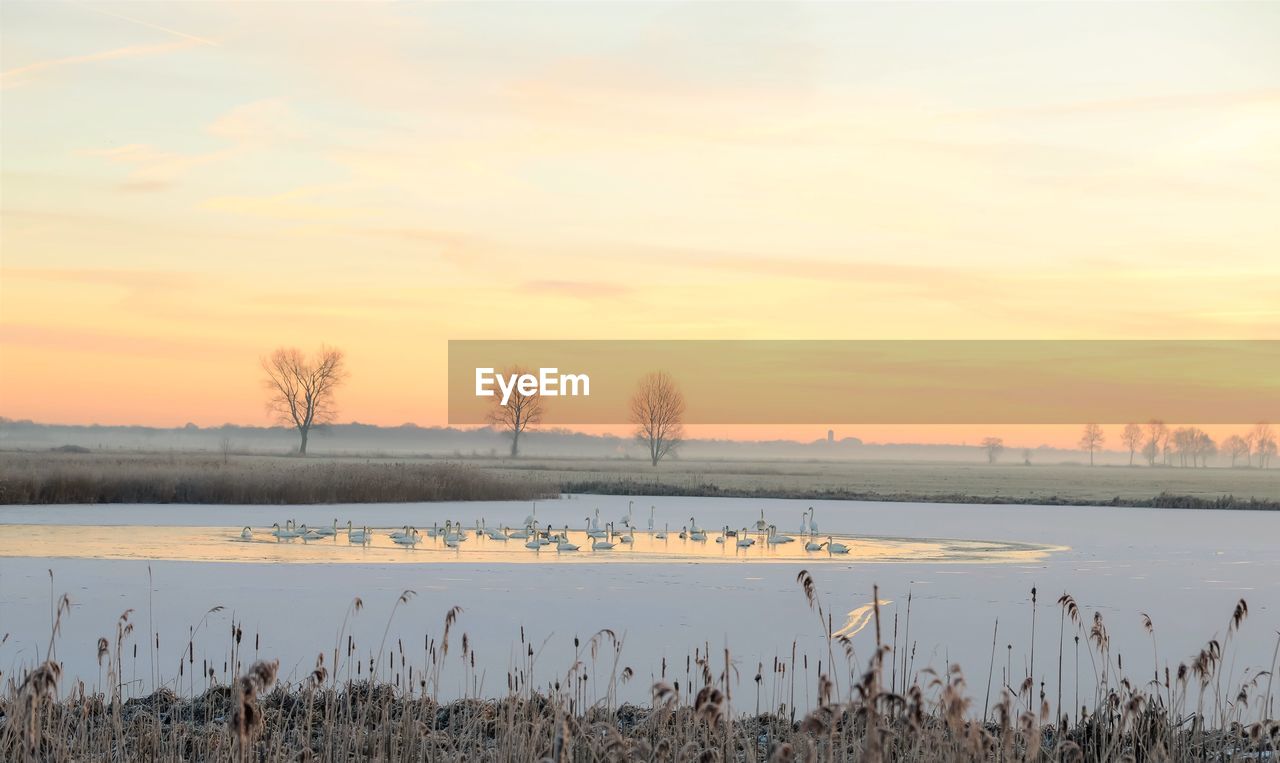 SCENIC VIEW OF LAKE DURING SUNSET