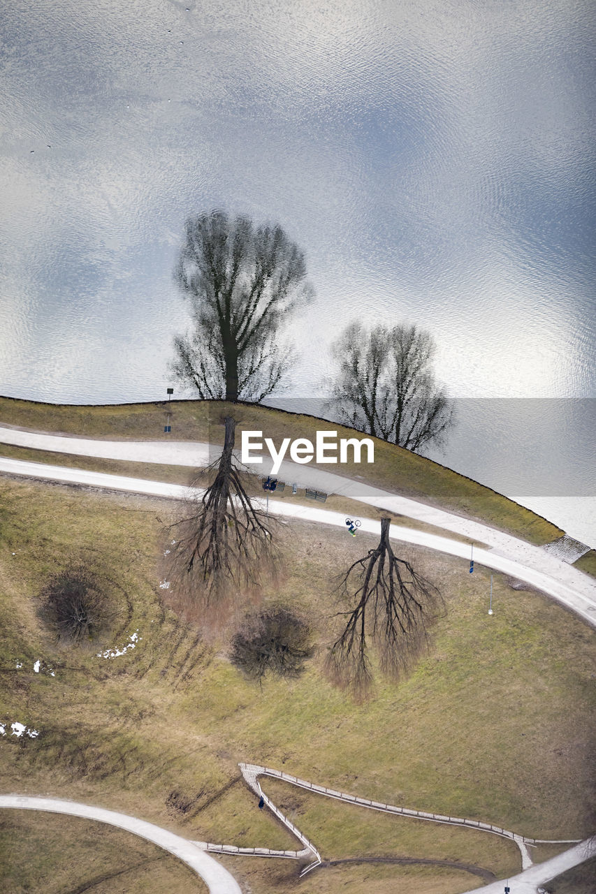 HIGH ANGLE VIEW OF BARE TREES BY ROAD