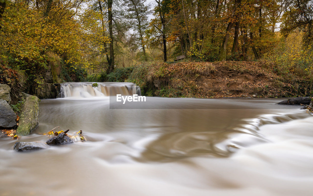 scenic view of waterfall in forest