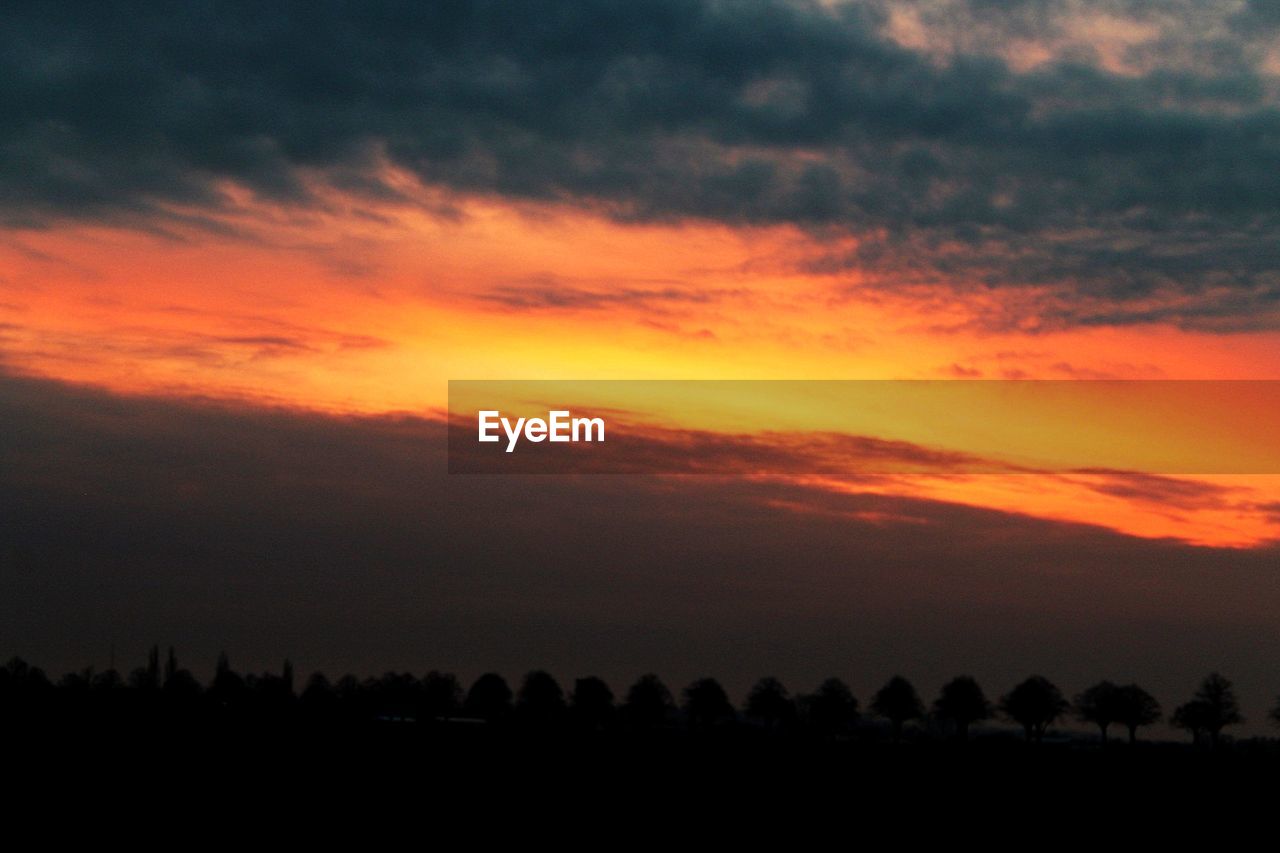 SILHOUETTE TREES AGAINST ORANGE SKY