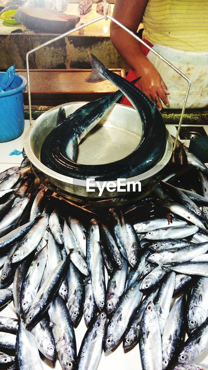 High angle view of fish for sale at market