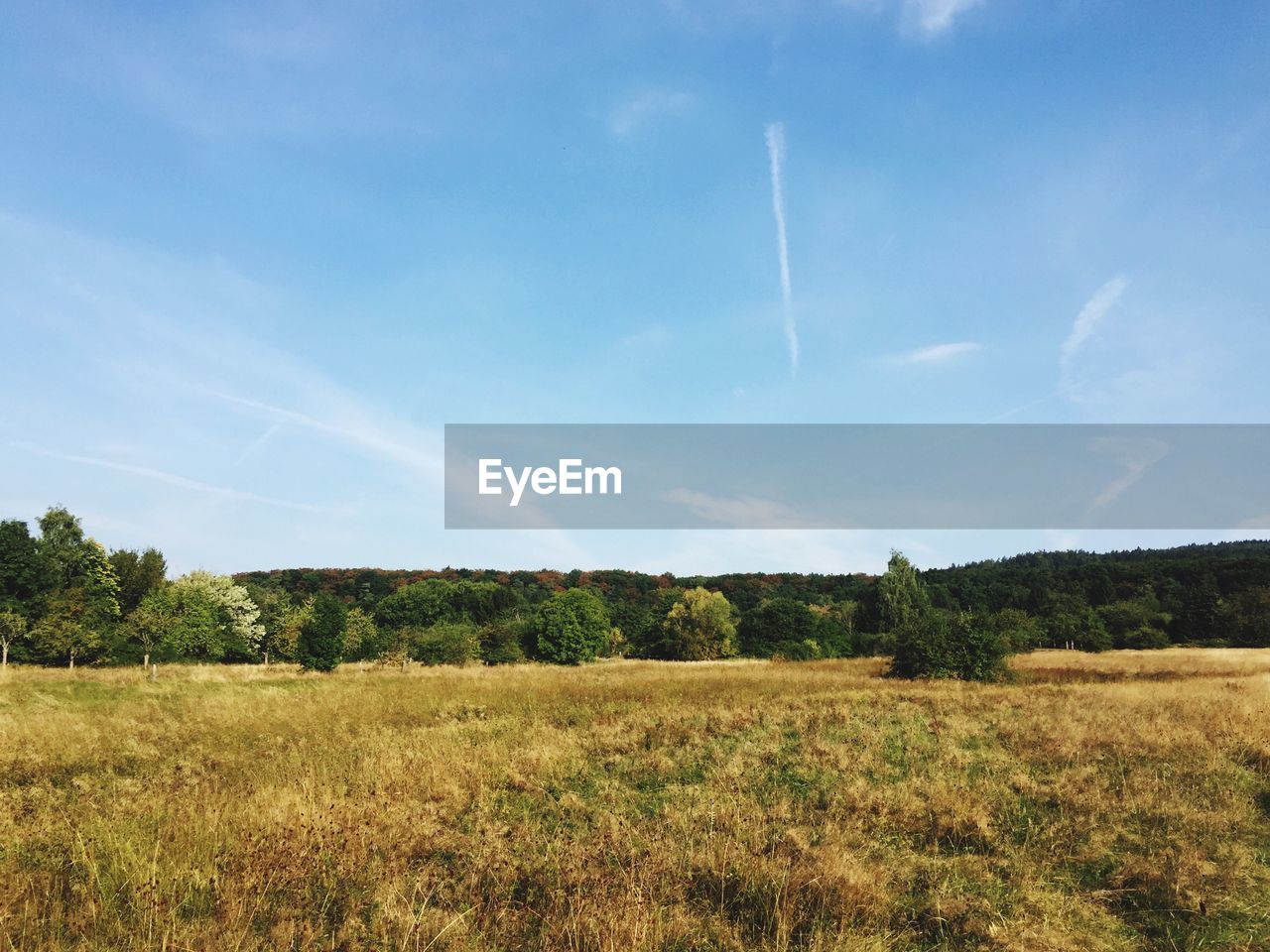 Scenic view of grassy field against sky