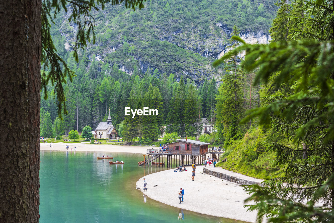 Scenic view of lake in forest