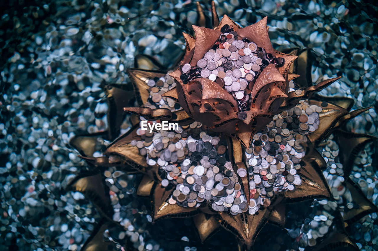 HIGH ANGLE VIEW OF DRY LEAVES ON TREE