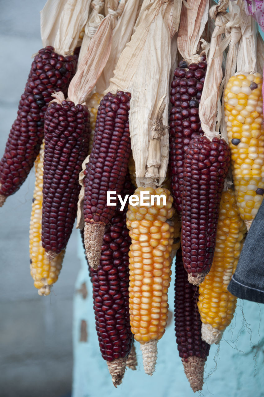 Close-up of corns hanging outdoors