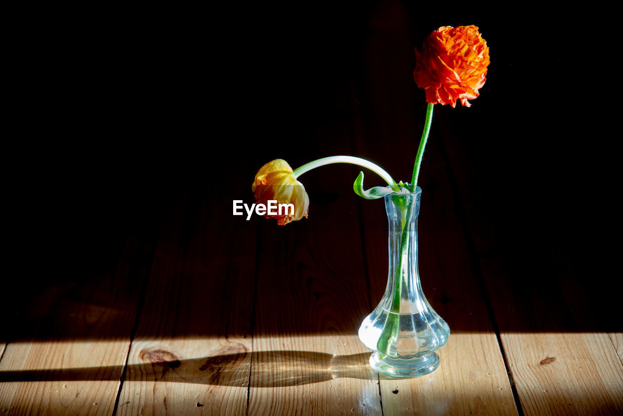 Close-up of flower vase on table against black background