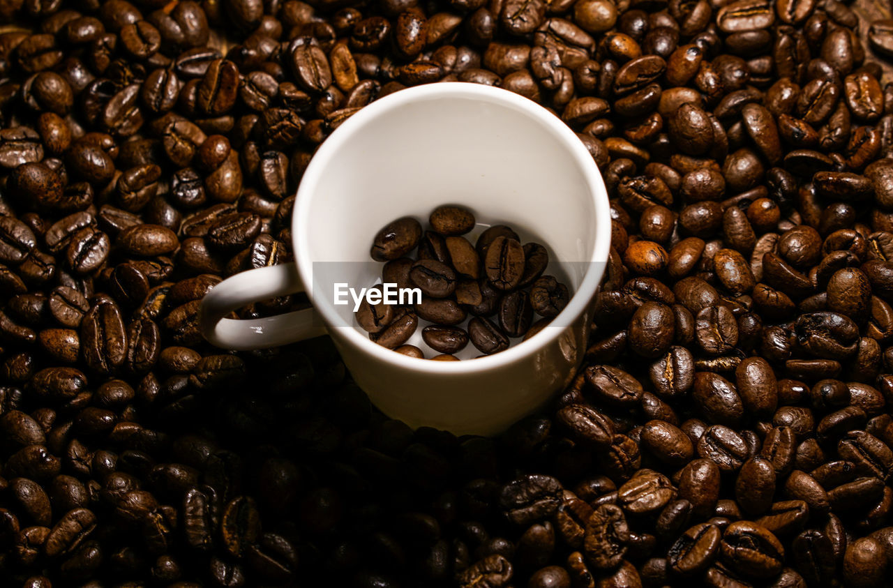 High angle view of coffee beans