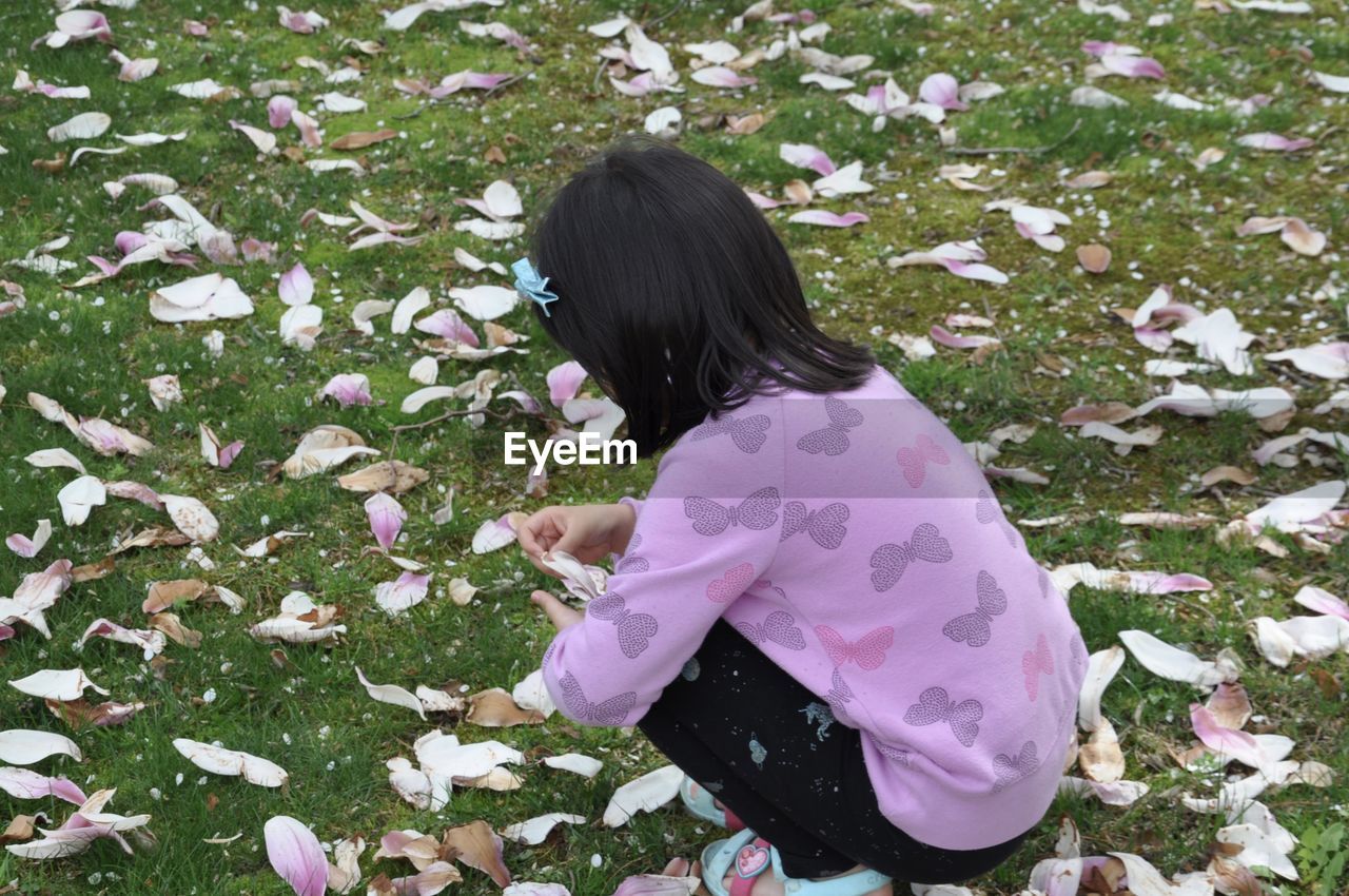 High angle view of girl picking up pink flower petals on field