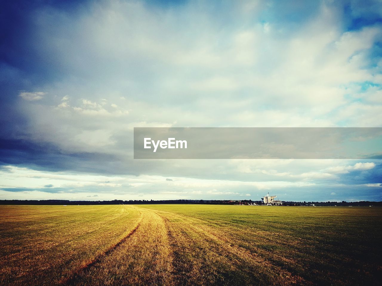 FIELD AGAINST SKY