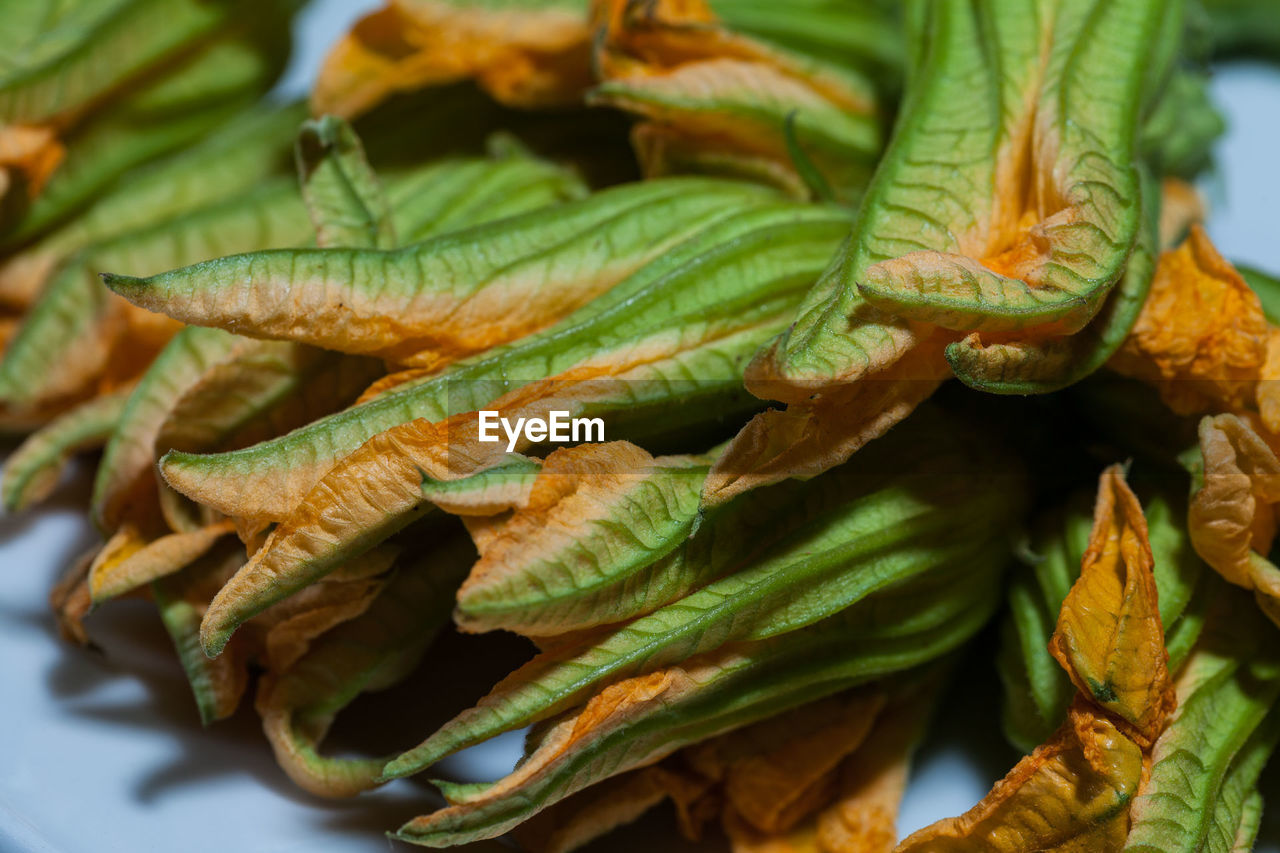 CLOSE-UP OF FRESH GREEN VEGETABLES