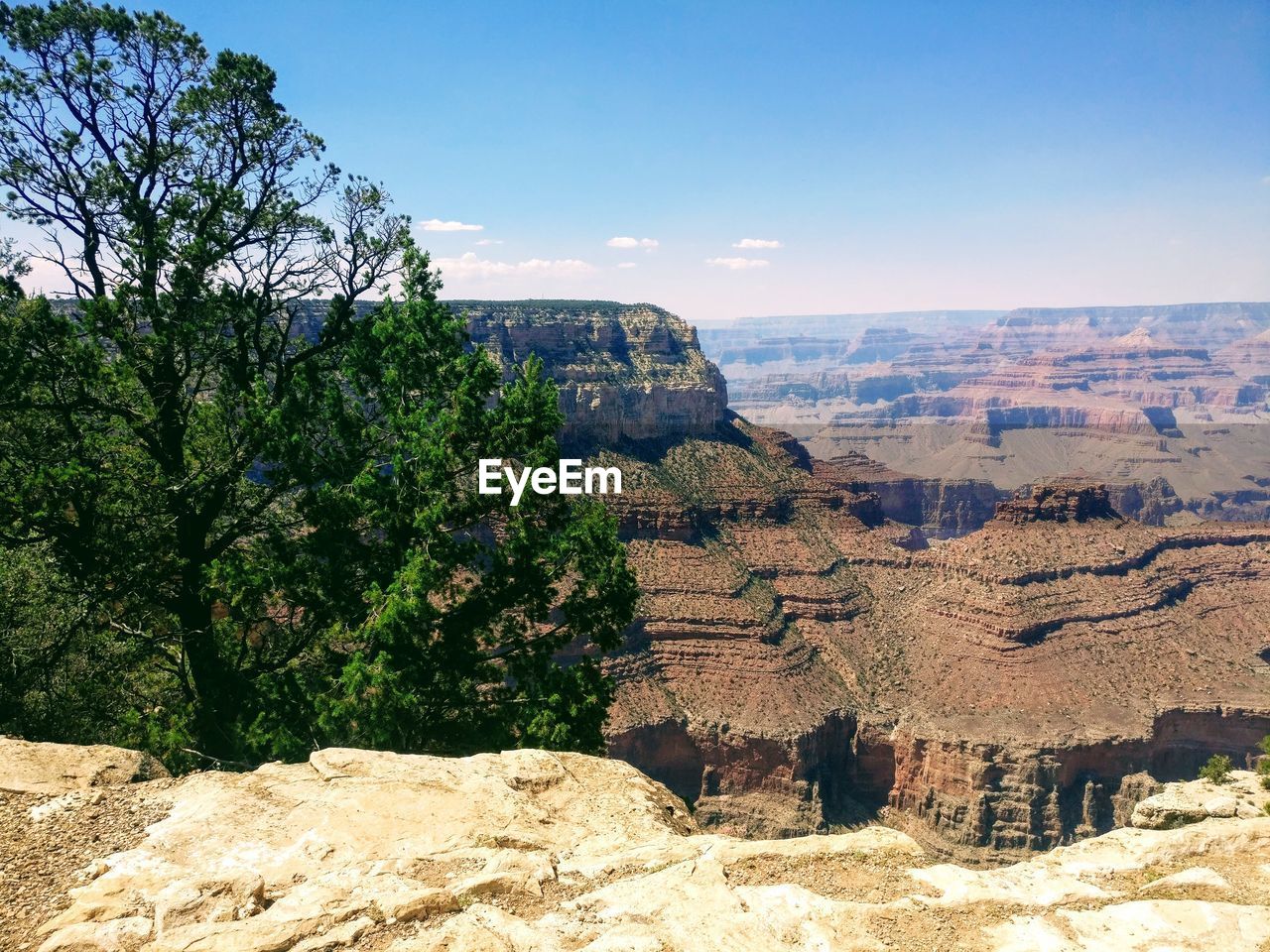 View of trees and rocks against sky