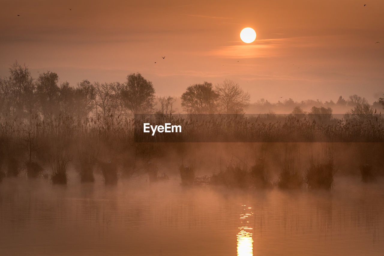 Scenic view of lake against sky during sunset