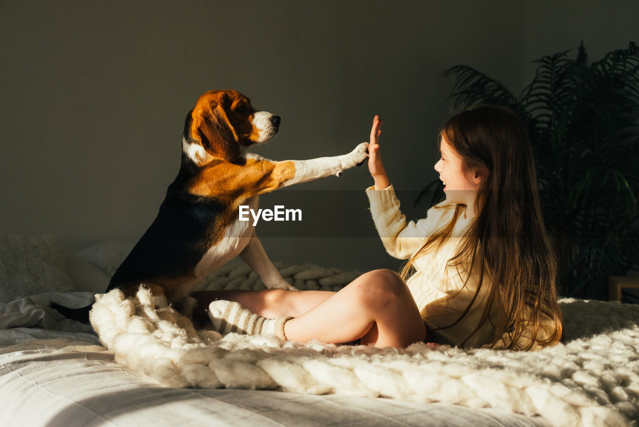 Smiling girl giving high-five to dog on bed at home