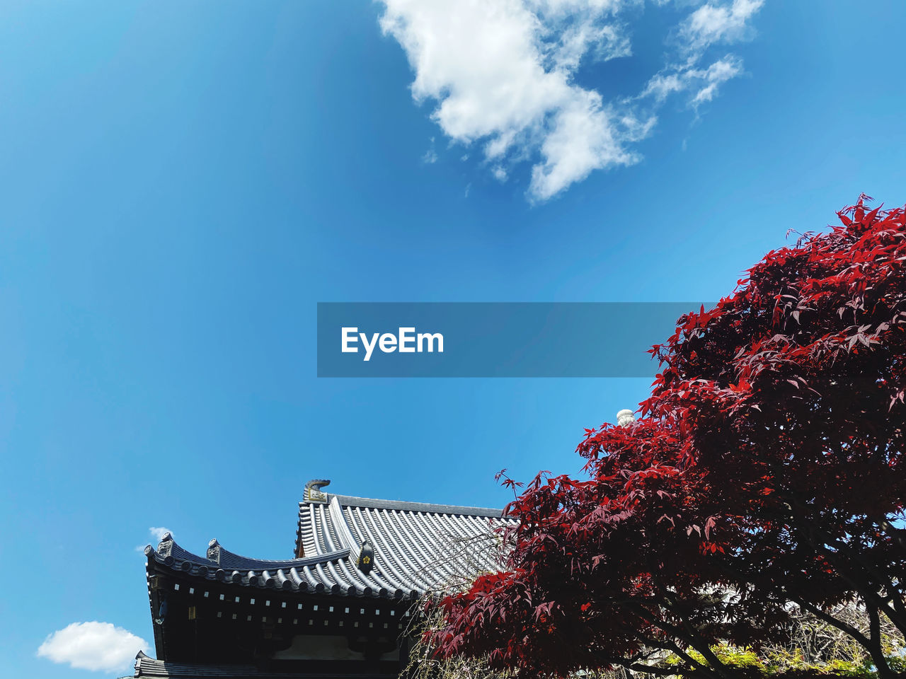 LOW ANGLE VIEW OF BUILDINGS AGAINST SKY