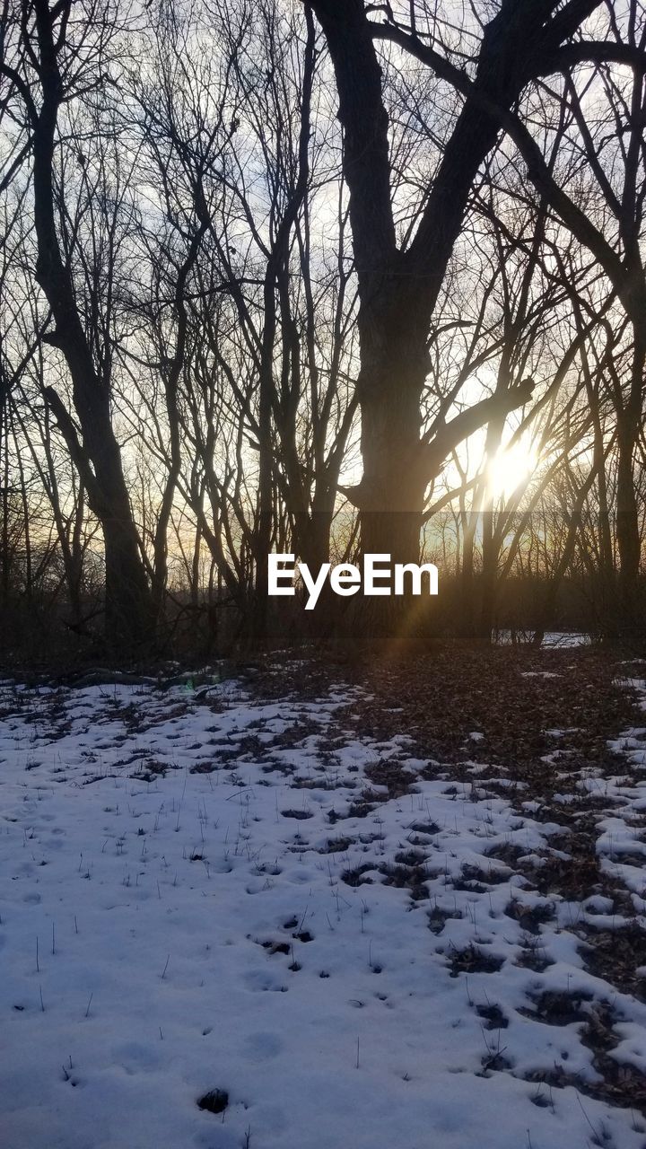 BARE TREES ON SNOW COVERED LAND AGAINST SUNSET SKY