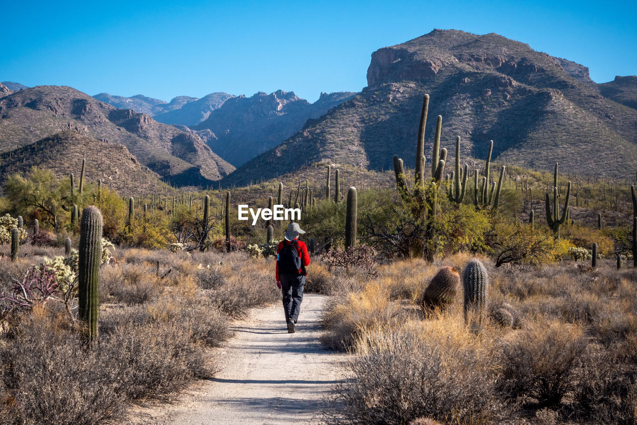 Rear view of woman walking on dirt road against mountain