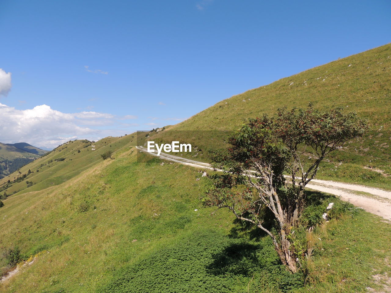 SCENIC VIEW OF LAND AGAINST SKY